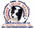 BORDER COLLIE RESCUE OF NORTHERN CALIFORNIA